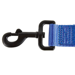 KONG Max HD leash metal hardware detail and rugged thread texture