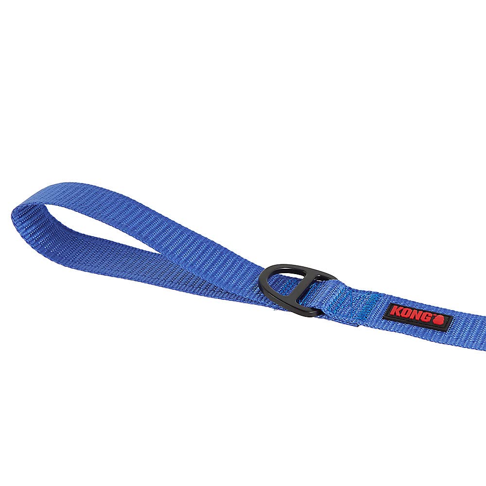 KONG Max HD leash in action during busy street walk with handle