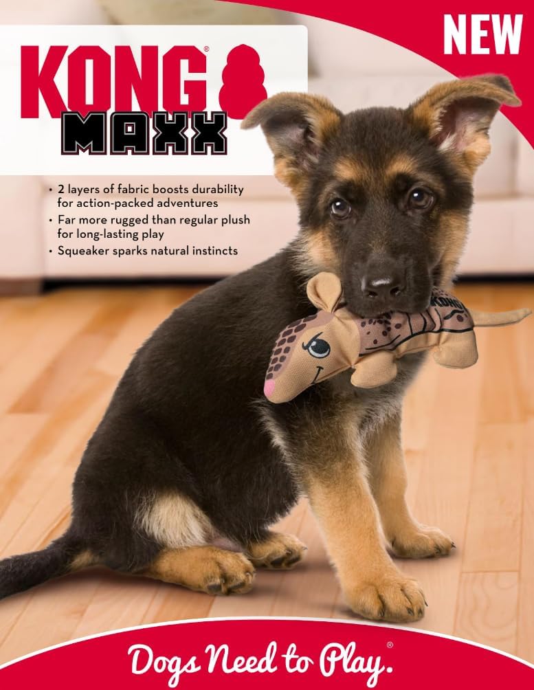 KONG Maxx Turtle in action with a dog shows sturdy, interactive entertainment