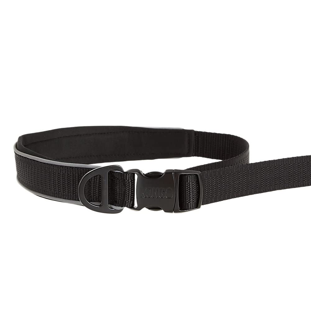 KONG 6-foot leash with neoprene-lined handles delivers comfortable grip on long walks.