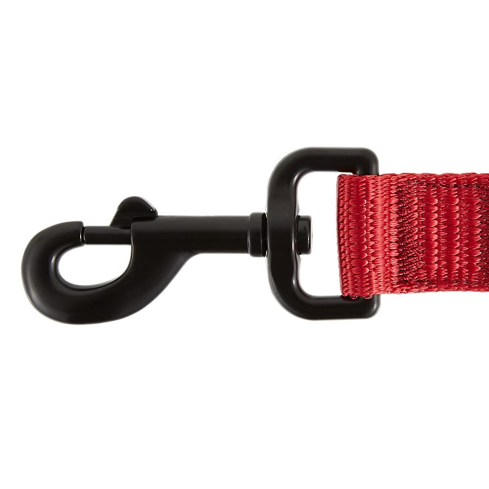 KONG reflective accents improve visibility during late-evening strolls.