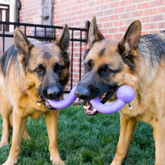 KONG Ogee Stick large curved shape promotes longer tug sessions.