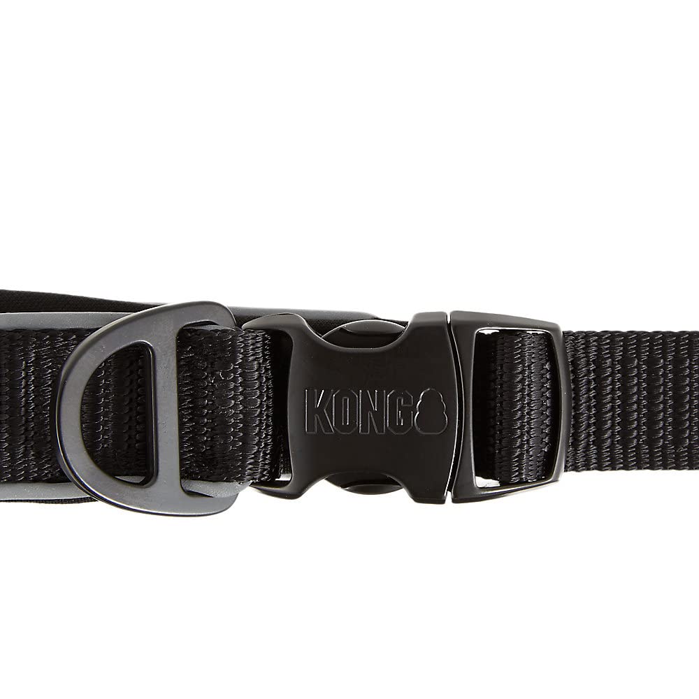 KONG Reflective design boosts visibility during evening strolls.