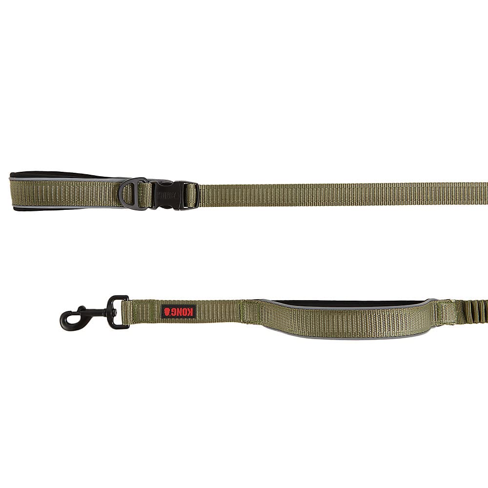 KONG reflective shock-absorbing hands-free dog leash enhances night visibility during walks.