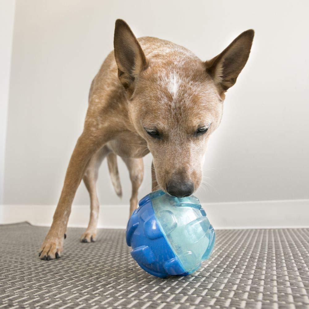 KONG Rewards Ball LG bounce-and-roll action keeps large dogs engaged.