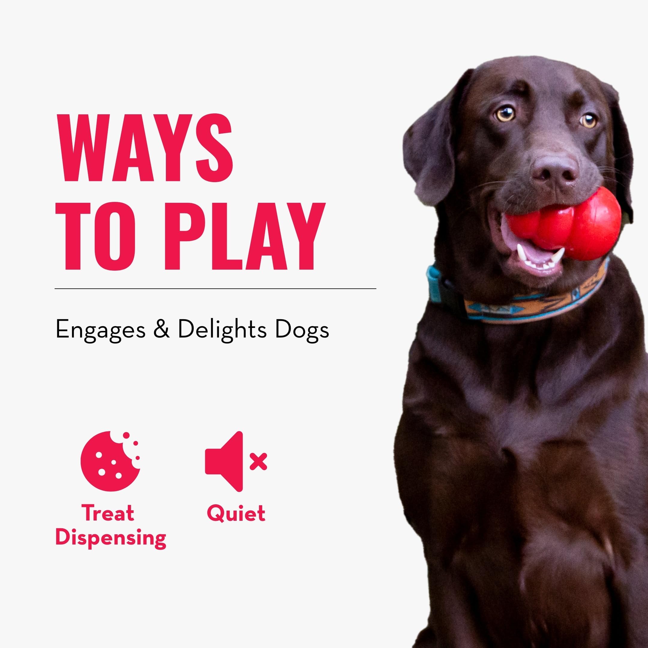 KONG Rewards Ball LG easy-to-clean construction supports quick cleanup.