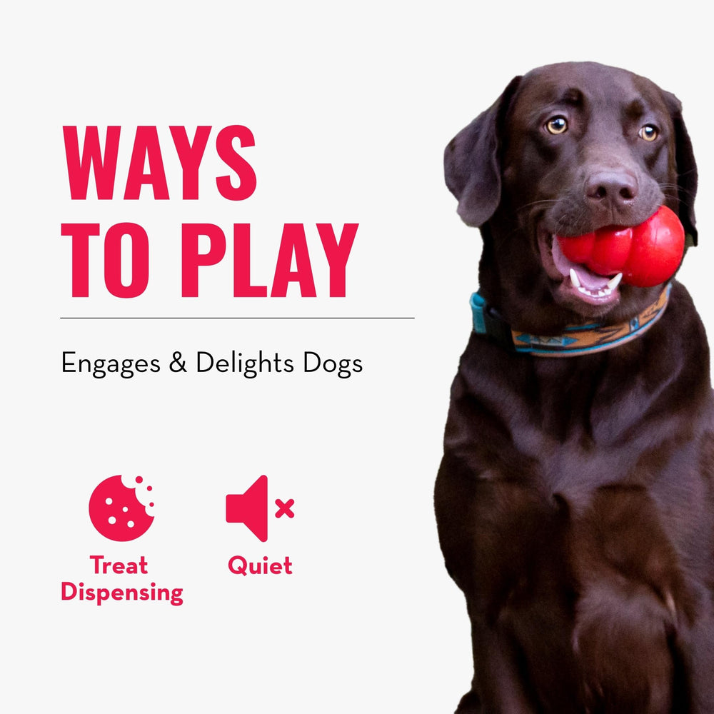 KONG Rewards Ball LG easy-to-clean construction supports quick cleanup.