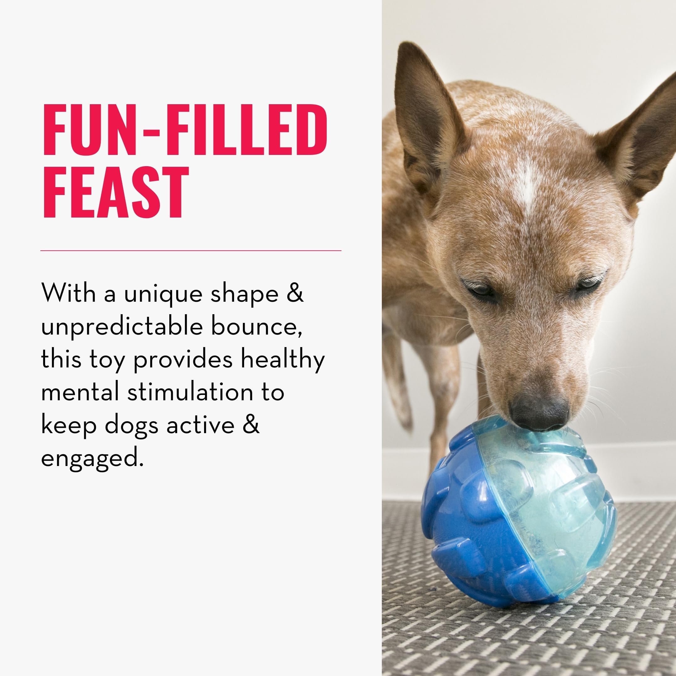 KONG Rewards Ball LG quiet-play design for long-lasting, calm sessions.
