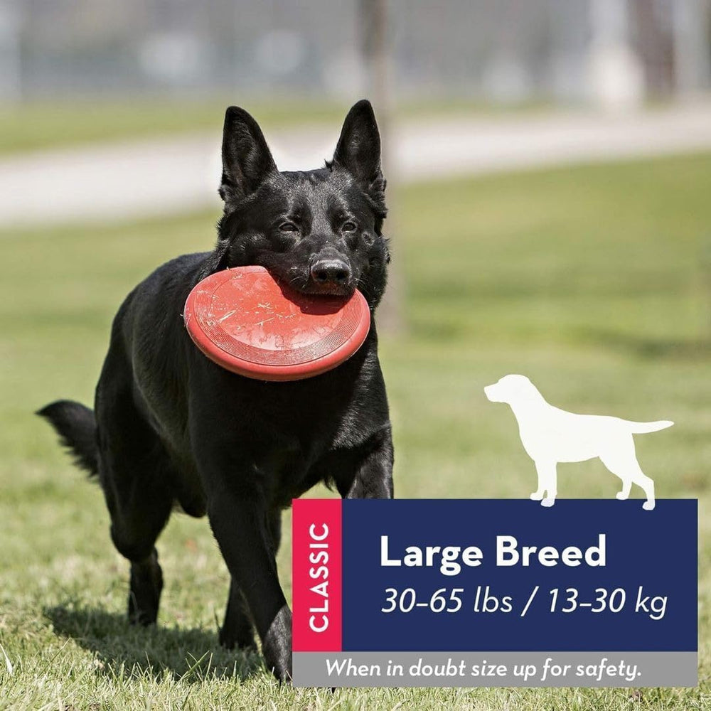KONG Rubber Flyer large red cleaning-ready image, easy wipe-down after play.