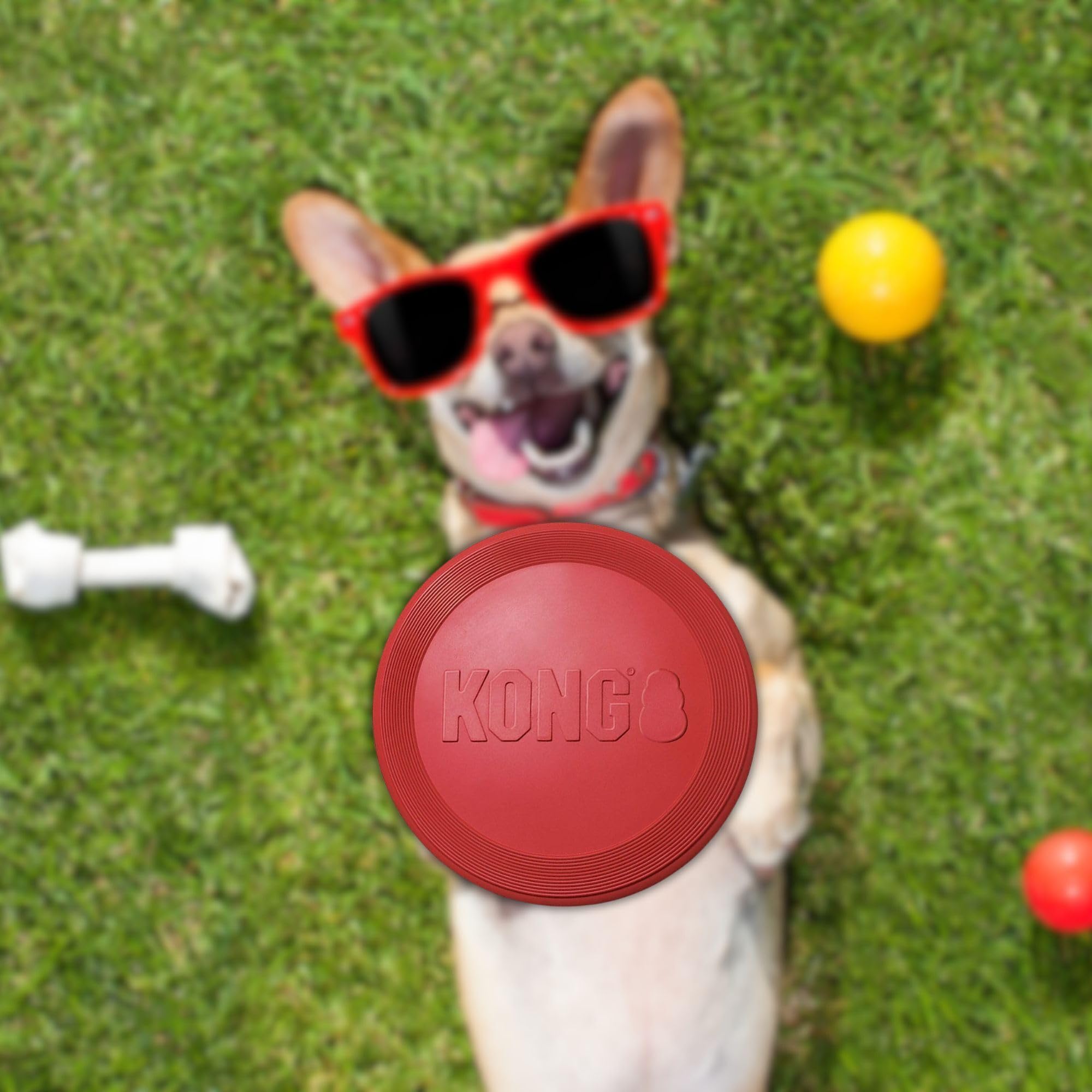 KONG Rubber Flyer large red packaging view, shows value and durability.