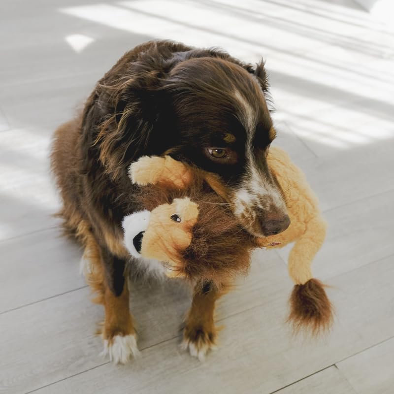 KONG Scampers Wildlife Lion head-tilt focuses on a playful silhouette that invites chasing and pawing.