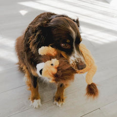 KONG Scampers Wildlife Lion head-tilt focuses on a playful silhouette that invites chasing and pawing.