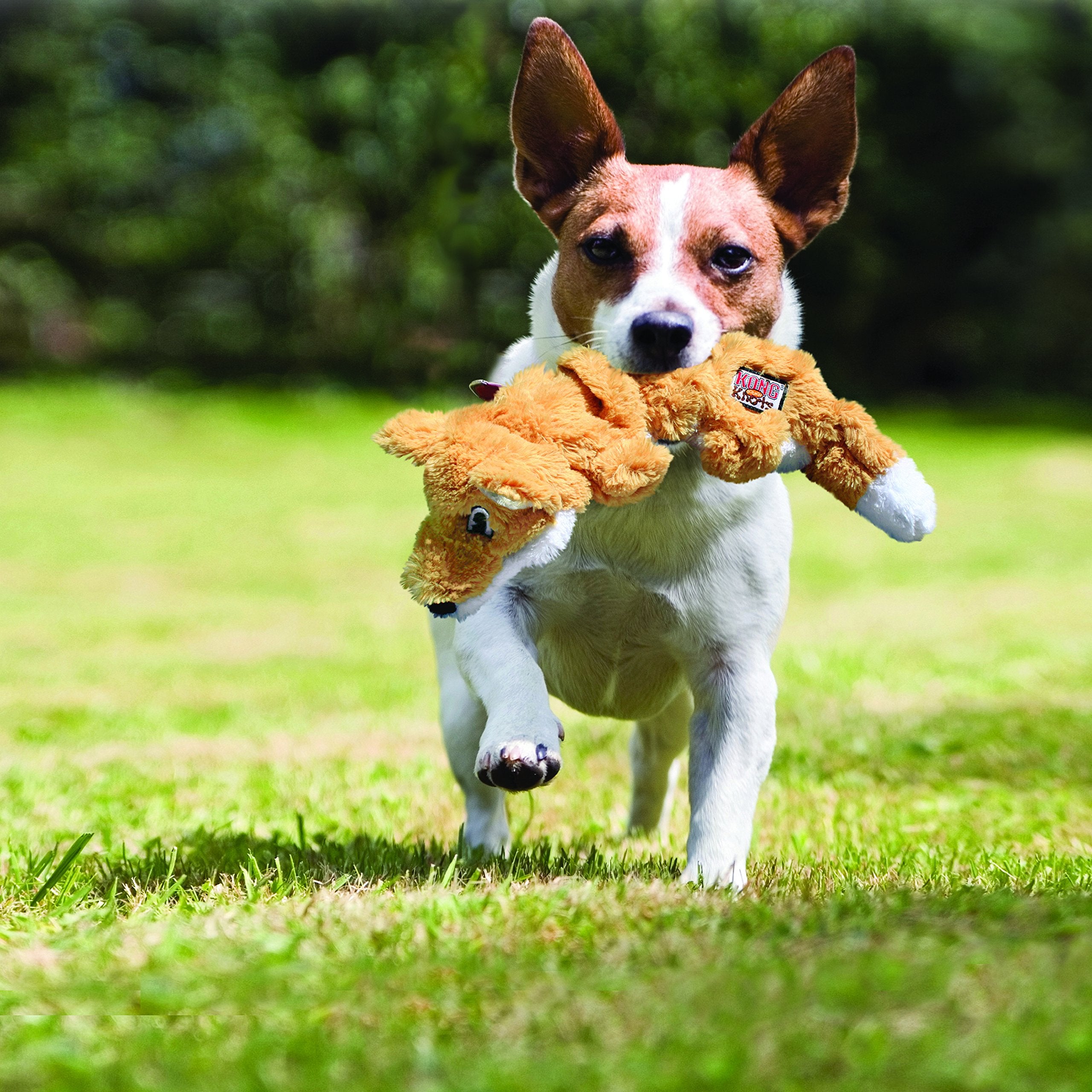 KONG Scrunch Knots Raccoon shows no stuffing, reducing mess during fetch and chew sessions