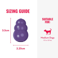 KONG Senior fetch-play session photo captures interactive retrieval for gentle exercise.