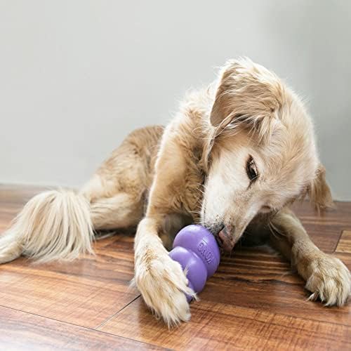 KONG Senior stuffed treat toy shot demonstrating treat-dispensing fun to extend playtime.