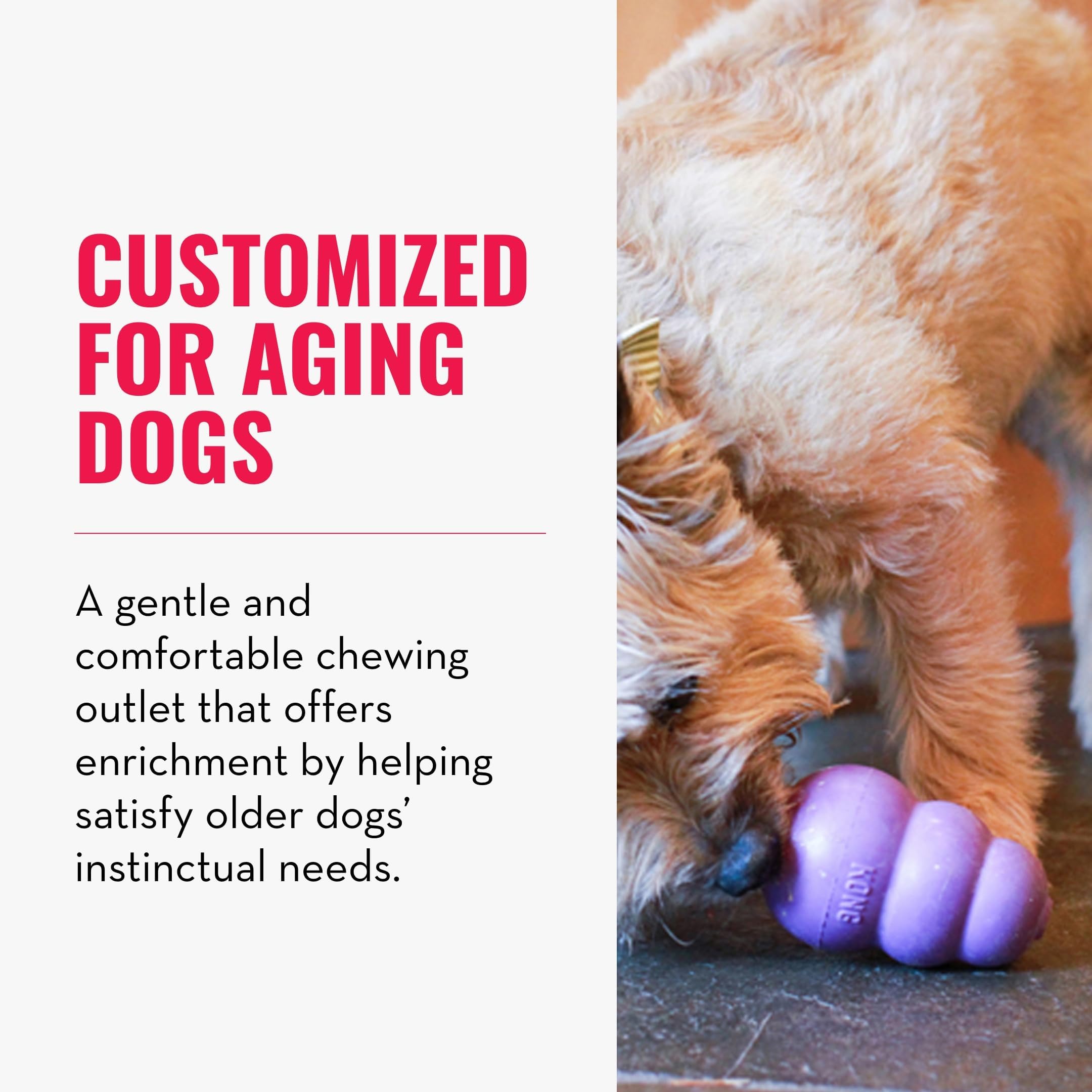 KONG Senior toy stuffed with treats promotes interactive, longer play sessions.