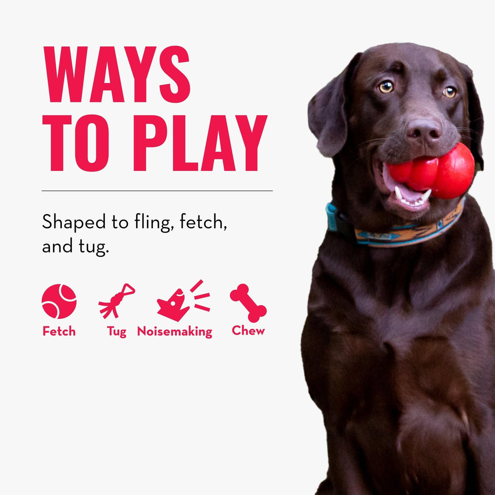 KONG Shakers Luvs Elephant blue squeaker-closeup sparks instinct and excited play.