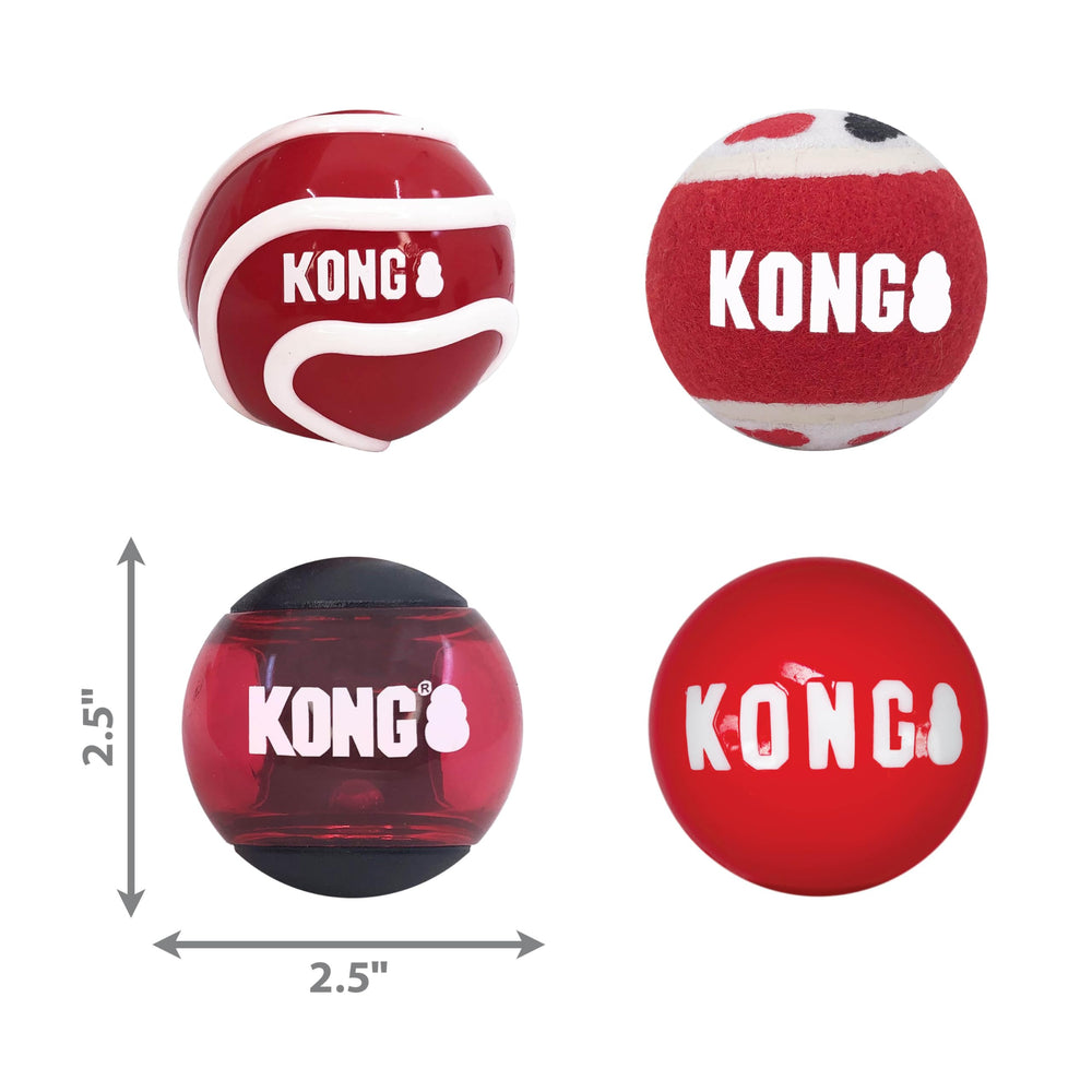 KONG Signature Assorted Balls fetch-focused exercise and bonding