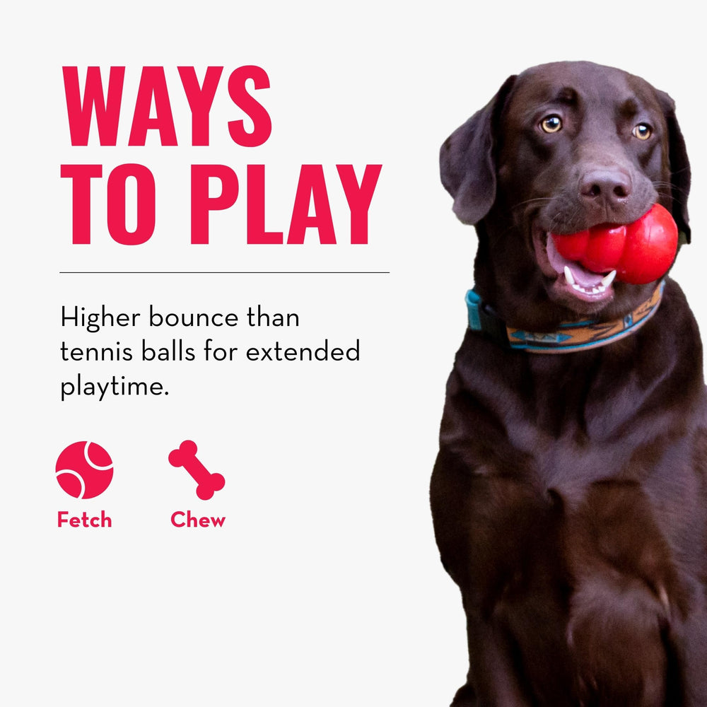 KONG Signature balls four-pack durable for outdoor or indoor fetch