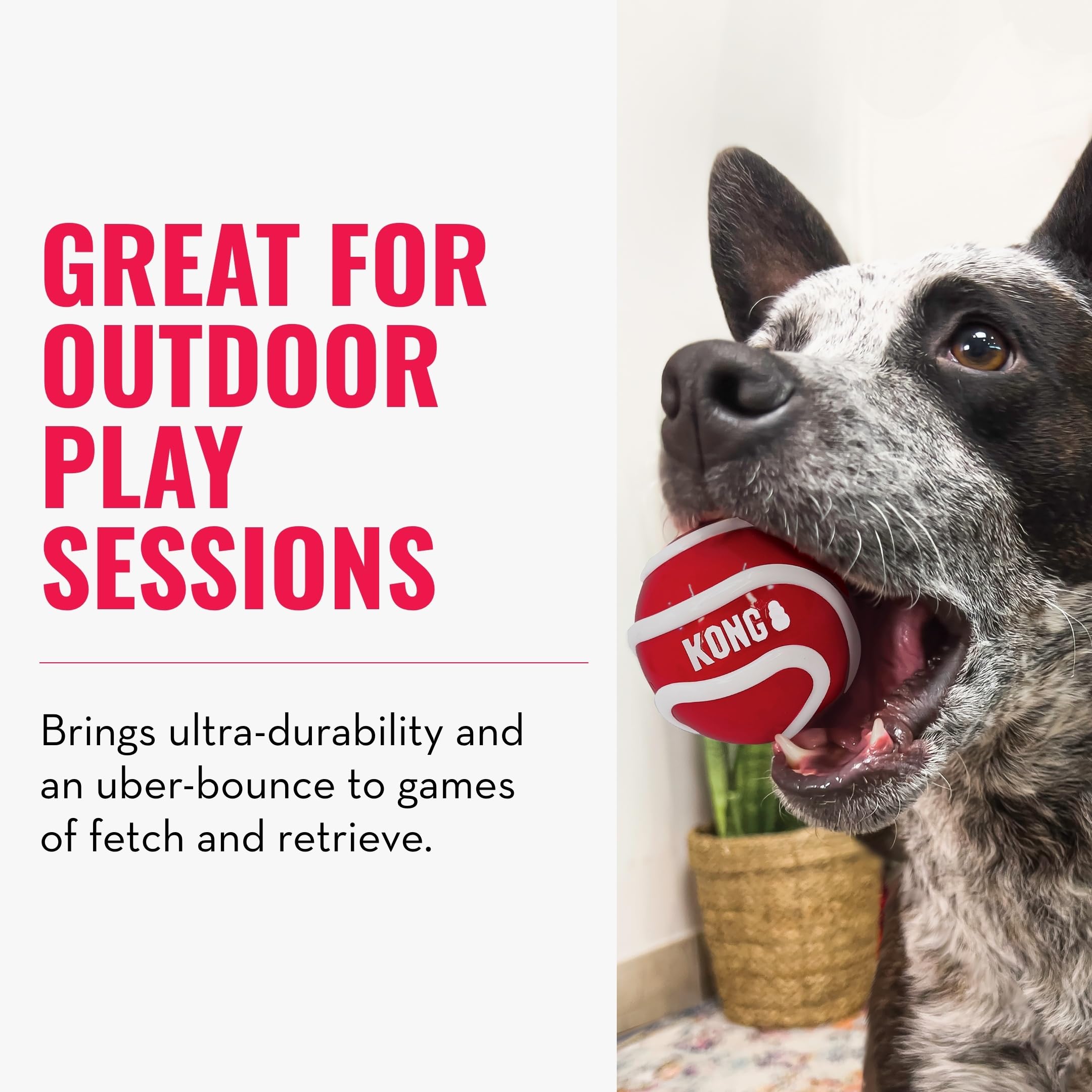 KONG Signature Sport Ball felt coating gentler on teeth during chases