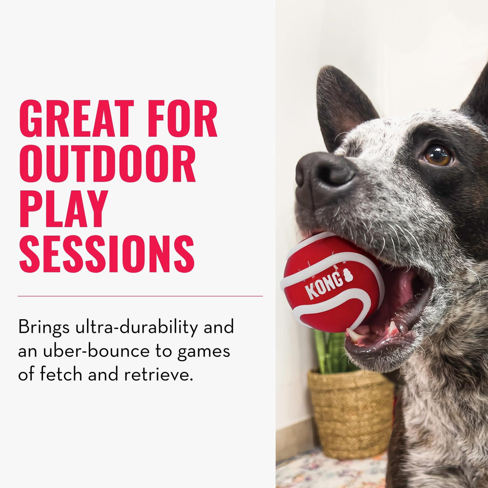 KONG Signature Sport Ball felt coating gentler on teeth during chases