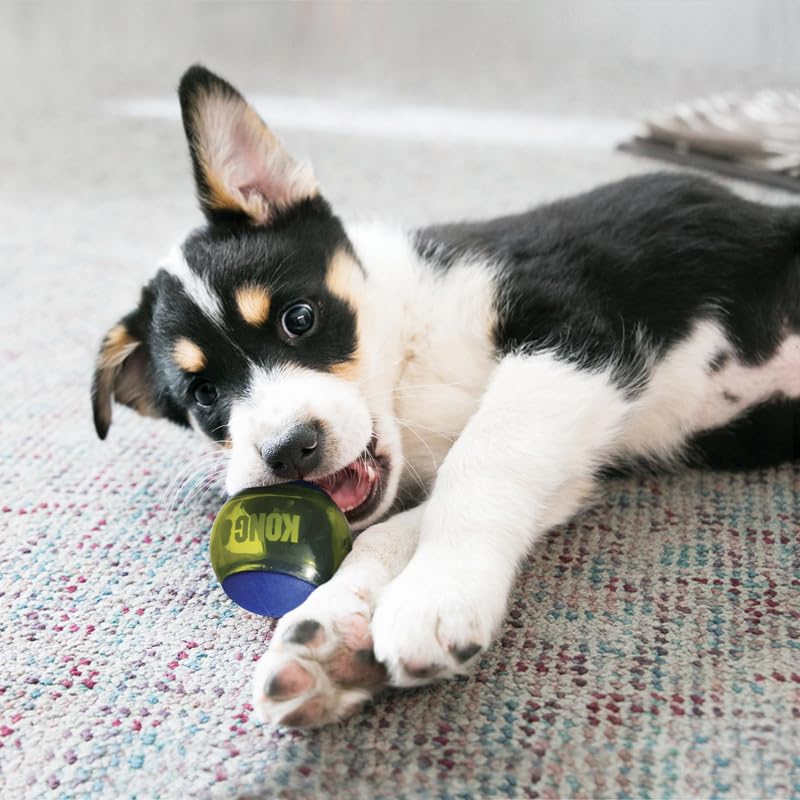 KONG Squeezz Action Ball with built-in squeaker keeps dogs engaged during play.