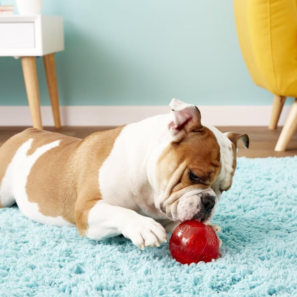 KONG Squeezz Ball dog toy with erratic bounce for dynamic play sessions
