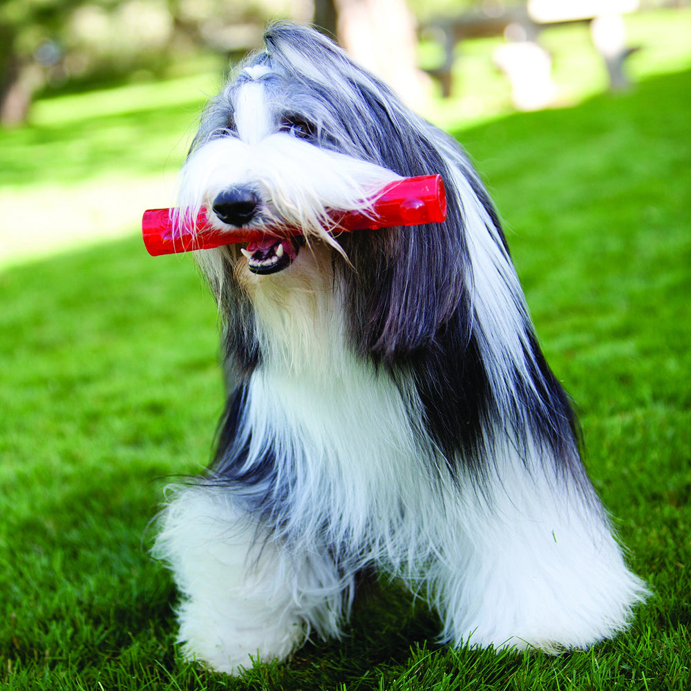 KONG Squeezz Stick four-color options Ruby Amethyst Emerald Sapphire improve visibility during play