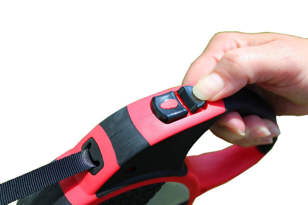 KONG Terrain 16-foot reach supports relaxed, controlled walking sessions on trails.