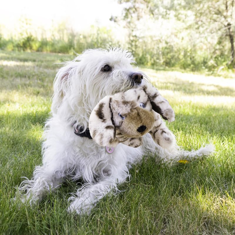 KONG Toughz double-squeaker design adds interactive excitement during play sessions