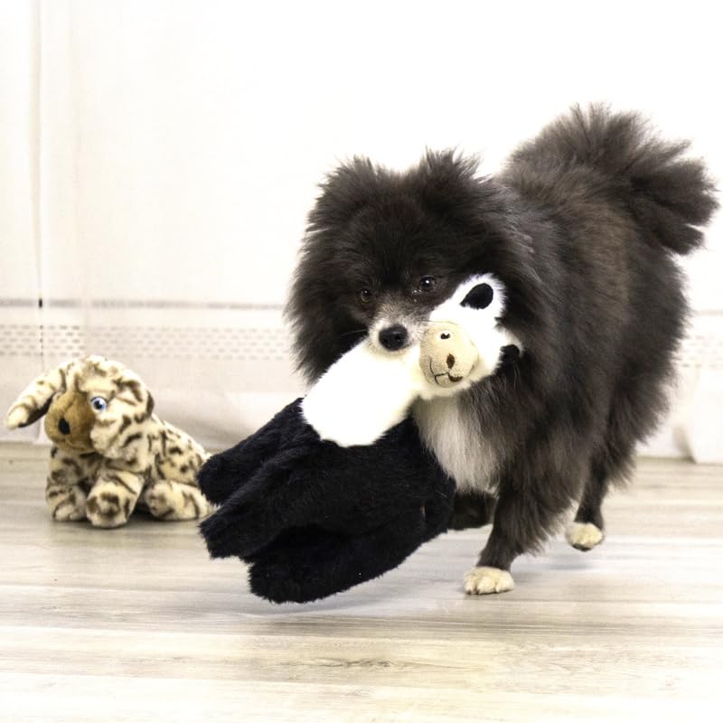 KONG Toughz soft chew plush toy for indoor play sessions.