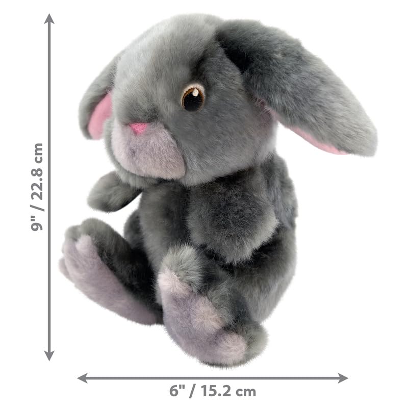 KONG Toughz Bunny double squeaker toy invites interactive fetch and thrashing.