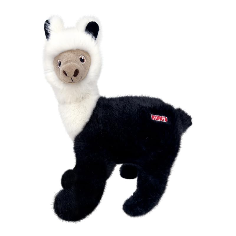 KONG Toughz thick plush offers durable softness for gnawing and naps.