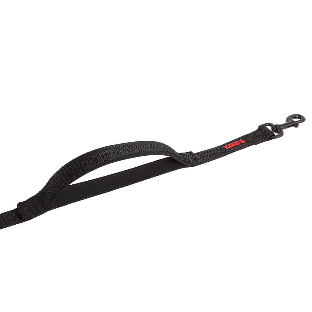 KONG traffic handle with durable metal hardware; added control when distractions loom.