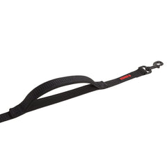 KONG traffic handle with durable metal hardware; added control when distractions loom.
