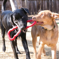 KONG Tug Toy for indoor play demonstrates controlled tug sessions inside the home.