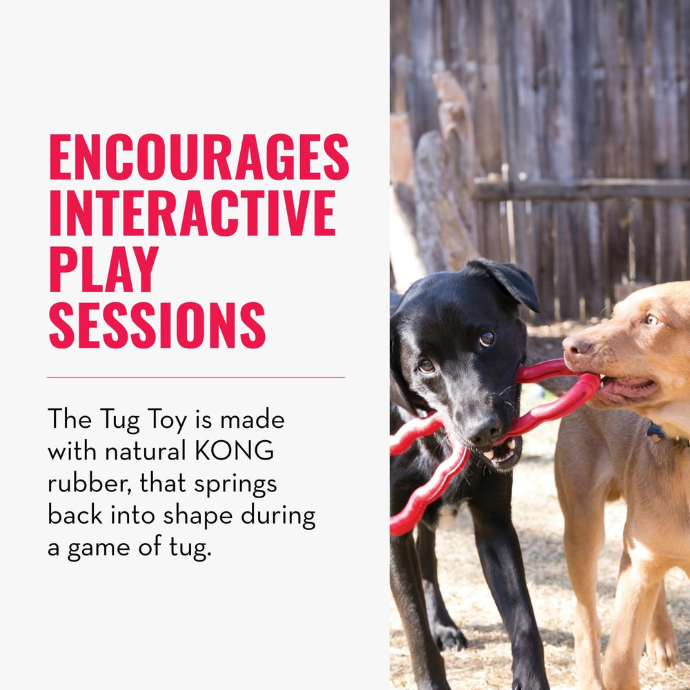 KONG Tug Toy natural rubber closeup highlights rebound and resilience.