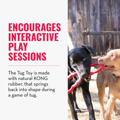 KONG Tug Toy natural rubber closeup highlights rebound and resilience.