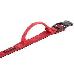 KONG buckle and D-ring close-up shows secure fit and reliable leash attachment.