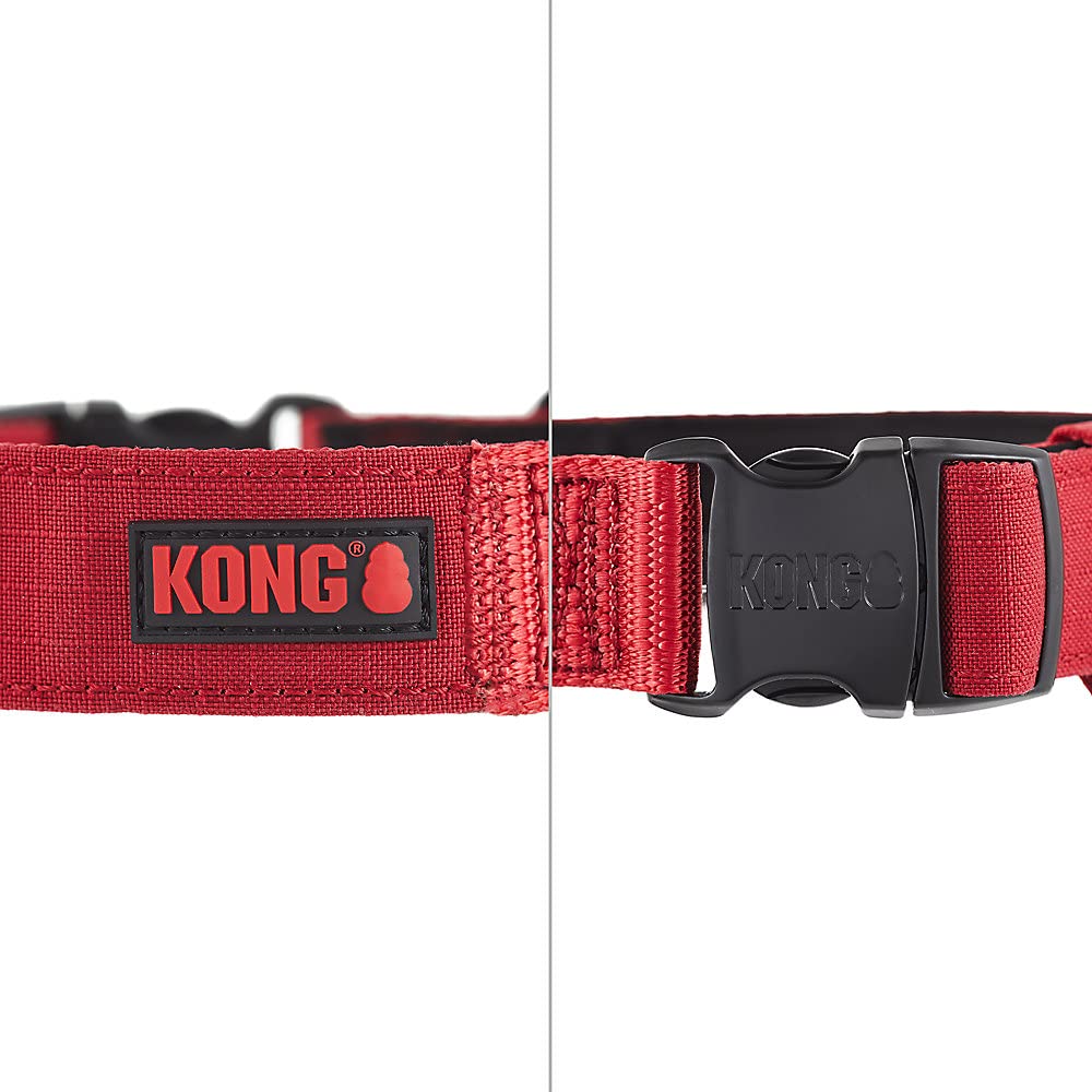 KONG interior padding close-up highlights neoprene comfort for long, gentle walks.