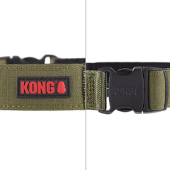 Close-up of KONG metal snap buckle on green padded collar