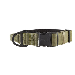 KONG collar side view highlighting adjustable strap and durable build