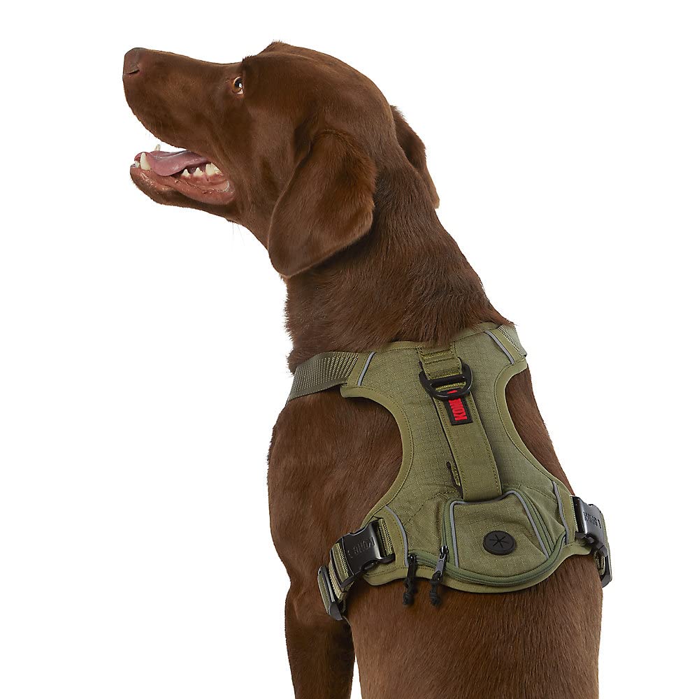 KONG Ultra Durable Waste Bag Harness small-green with collapsible handle for confident, comfortable walks