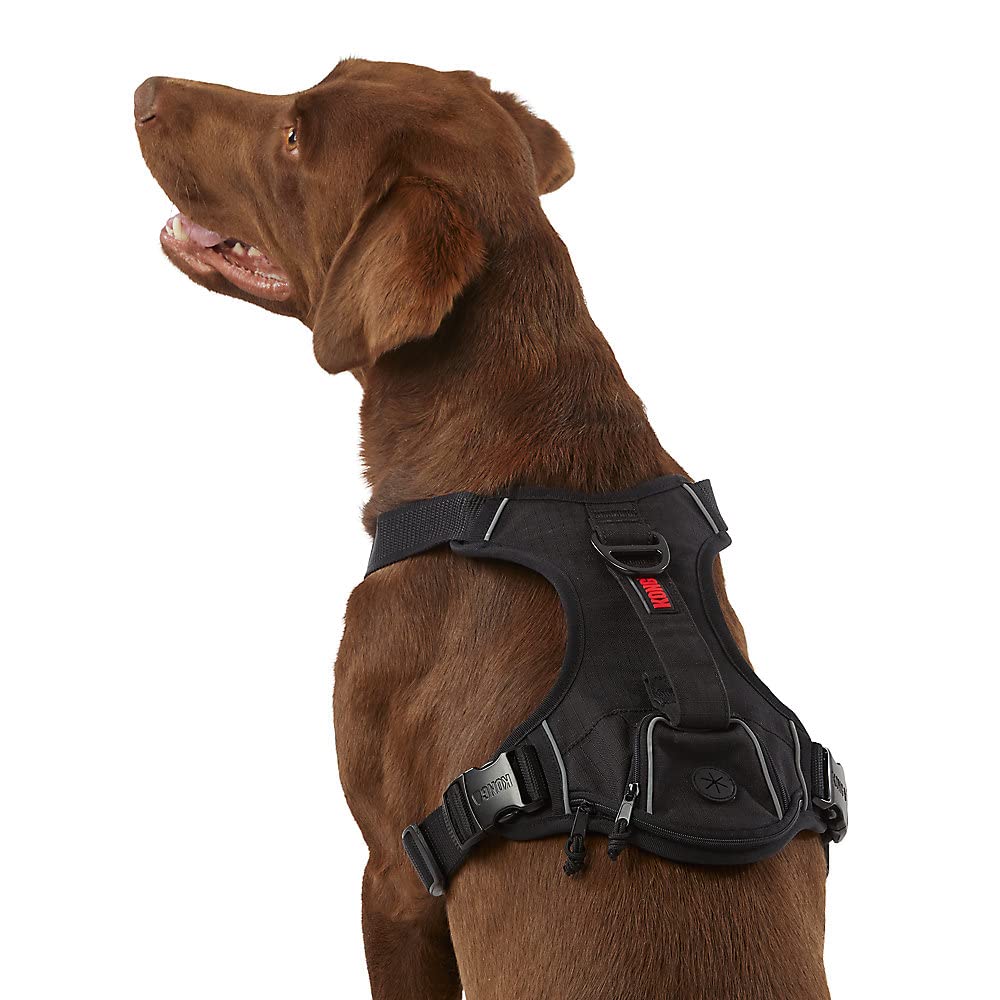 KONG Waste Bag Harness with collapsible handle helps maintain control on walks.