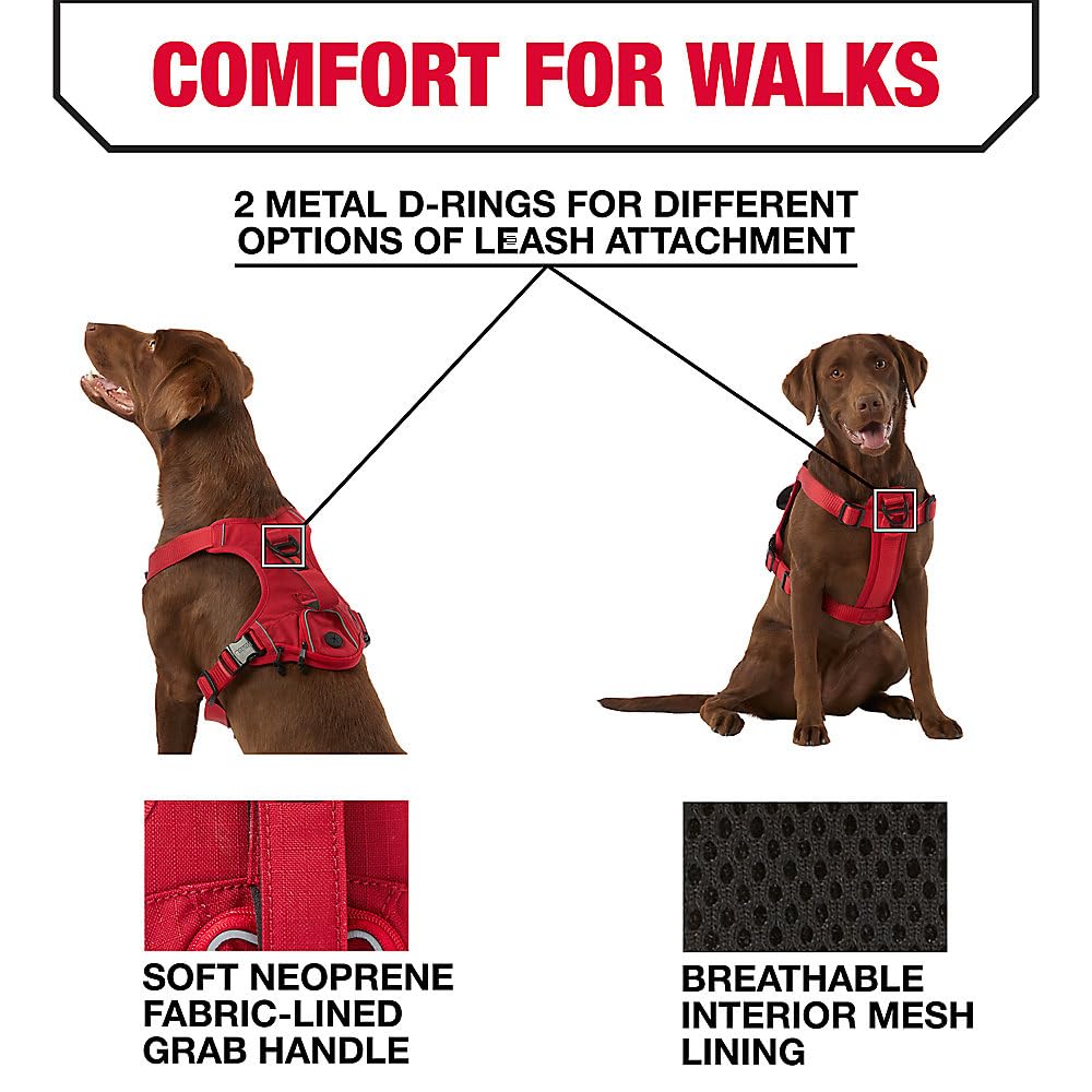 KONG Waste Bag Harness dispenser adds convenient waste pickup during outdoor walks