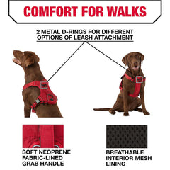 KONG Waste Bag Harness dispenser adds convenient waste pickup during outdoor walks