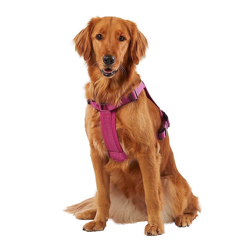 KONG Waste Bag Harness side view with dispenser for easy cleanup on adventures.