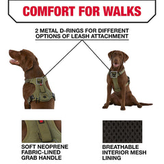 KONG harness reflective piping enhances visibility during dusk walks.