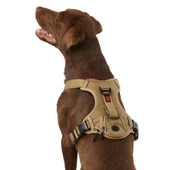 KONG waste bag harness small tan closeup shows durable nylon construction for everyday use.