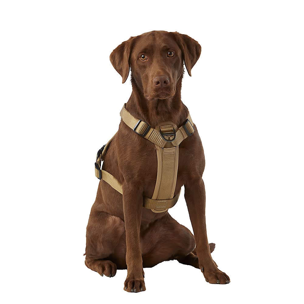 KONG waste bag harness small tan wearing demonstrates secure fit during daily walks.